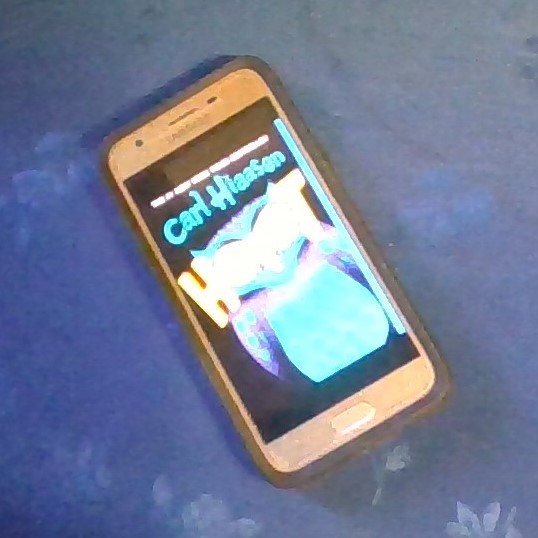The cover of Carl Hiasssen's Hoot on a cell phone. It shows an owl, with the eyes forming the Os in Hoot.