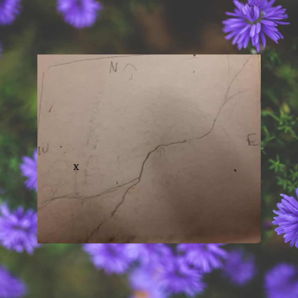 A simple map on a background with purple flowers.