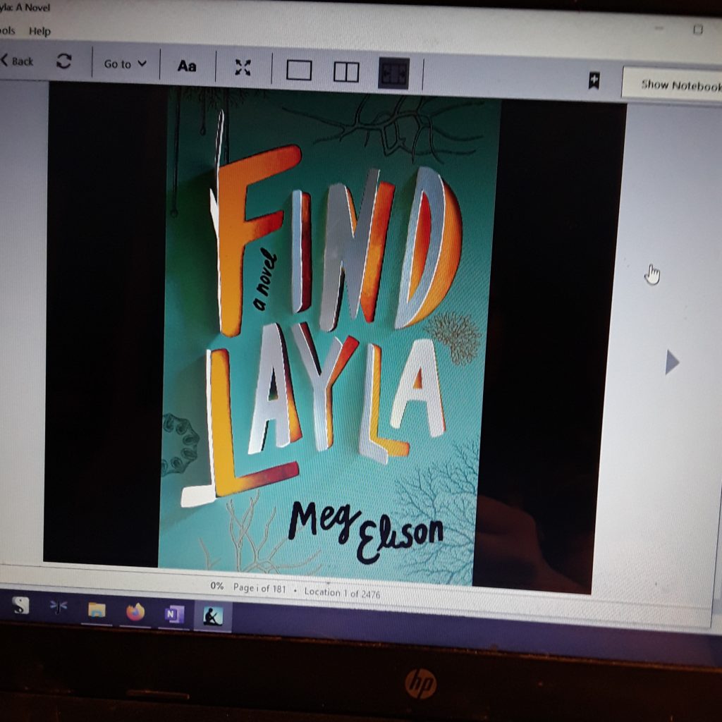 The cover of Find Layla on a computer screen. The cover shows the name in bubble letters of various colors on a background of light blue