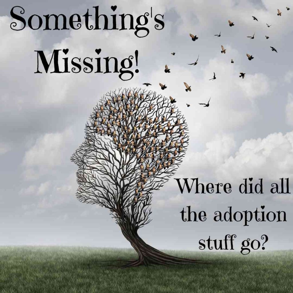 A head-shaped tree has birds flying away from it. It looks as if parts of the brain are flying away. Words: Something's Missing! Where did all the adoption stuff go?